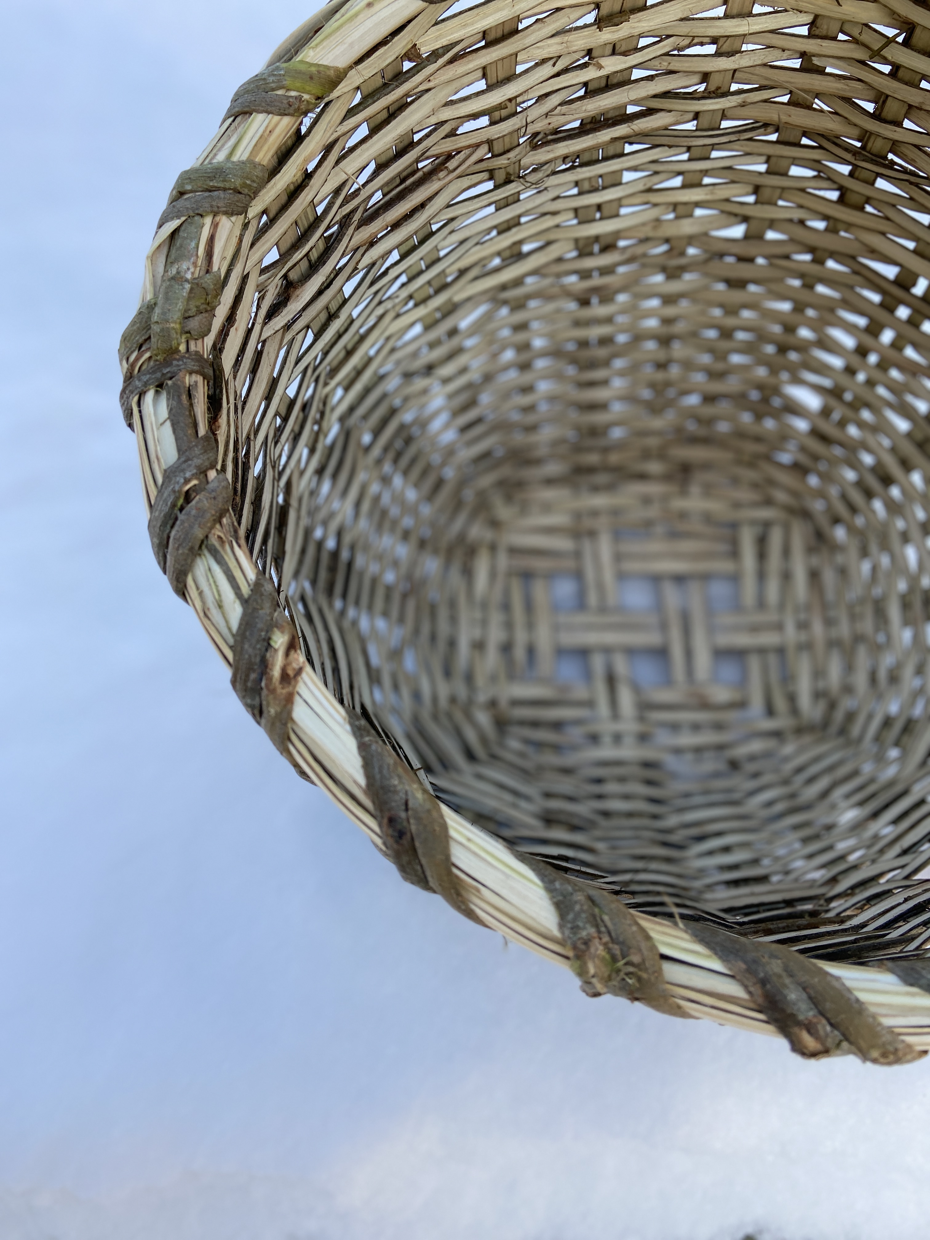 88257204-6f41-4311-8891-2f30d244fc47_1_201_a